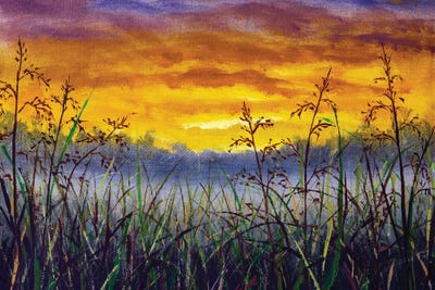 Grass In A Meadow At Dawn by Valery Rybakow canvas print