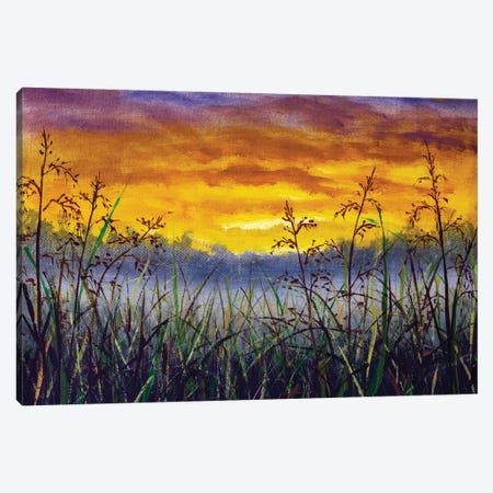 Grass In A Meadow At Dawn Canvas Print #VRY646} by Valery Rybakow Canvas Art Print