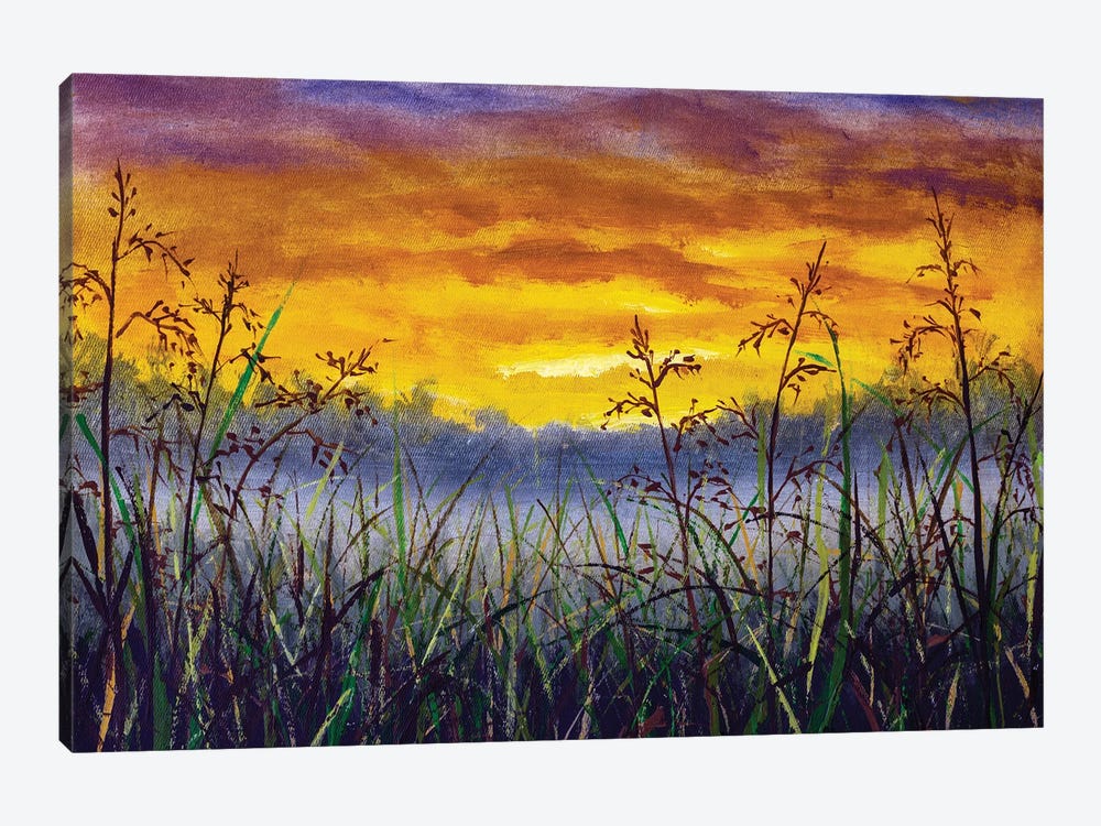 Grass In A Meadow At Dawn by Valery Rybakow 1-piece Canvas Wall Art