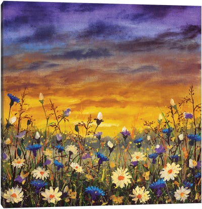 White Daisies And Blue Cornflowers Canvas Art Print - Wildflowers