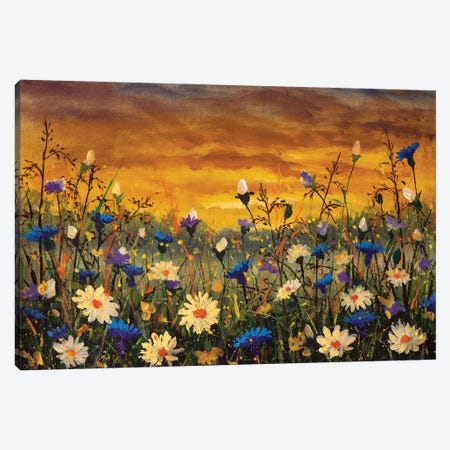Beautiful Field Of Flowers Canvas Print #VRY649} by Valery Rybakow Canvas Wall Art
