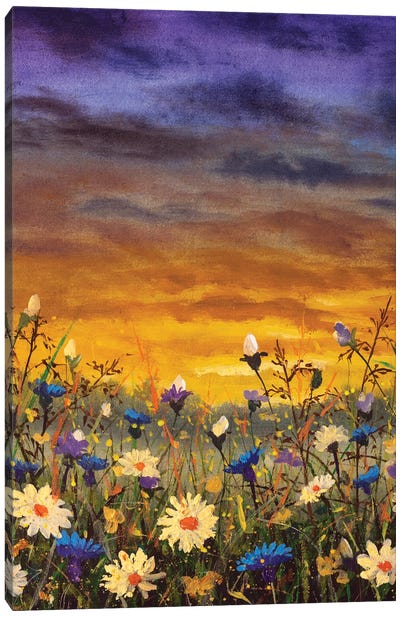 Field Of White Daisies And Blue Cornflowers Canvas Art Print - Daisy Art
