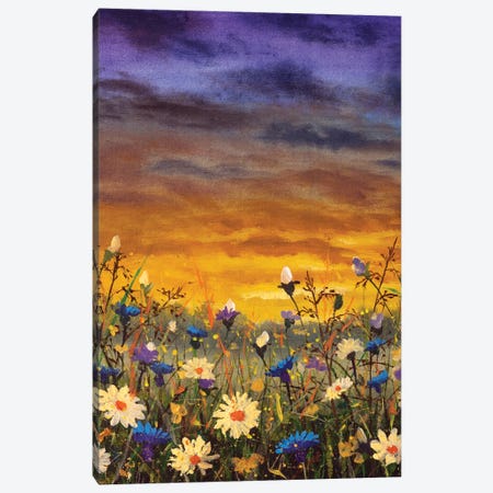 Flowers Field White Daisies Flowers Blue Cornflowers Oil Painting Canvas Print #VRY650} by Valery Rybakow Canvas Print