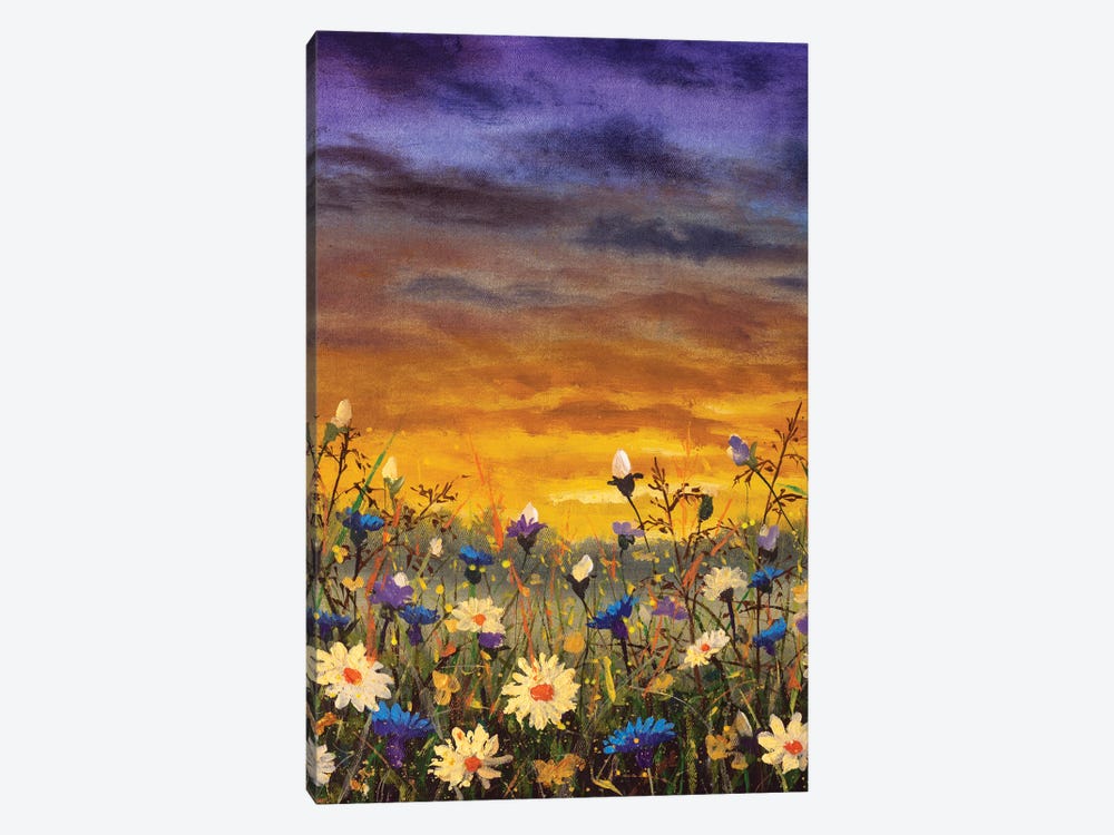 Field Of White Daisies And Blue Cornflowers by Valery Rybakow 1-piece Canvas Print