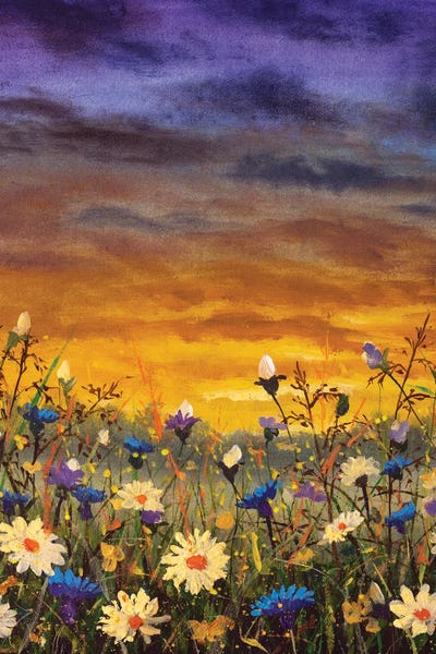 Color Fields: Field Of White Daisies And Blue Cornflowers by Valery Rybakow