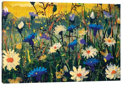 Close-Up Of White Daisies And Blue Cornflowers Canvas Art Print - Daisy Art