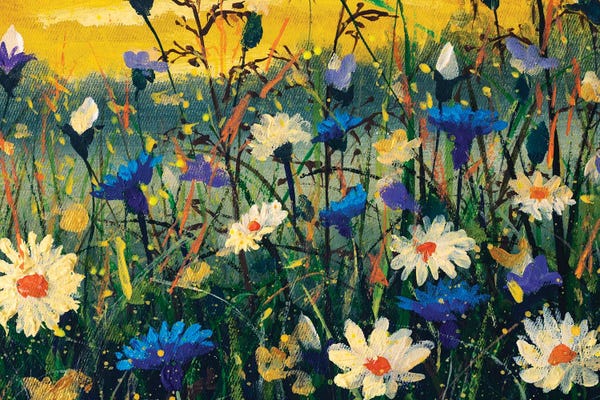 Daisies: Close-Up Of White Daisies And Blue Cornflowers by Valery Rybakow