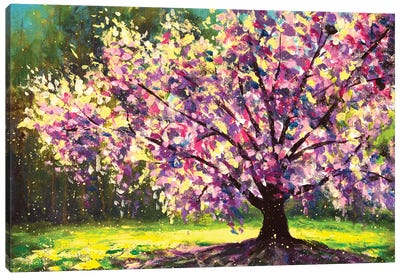 Flowering Sakura In A Spring Green Forest Canvas Art Print - Cherry Tree Art
