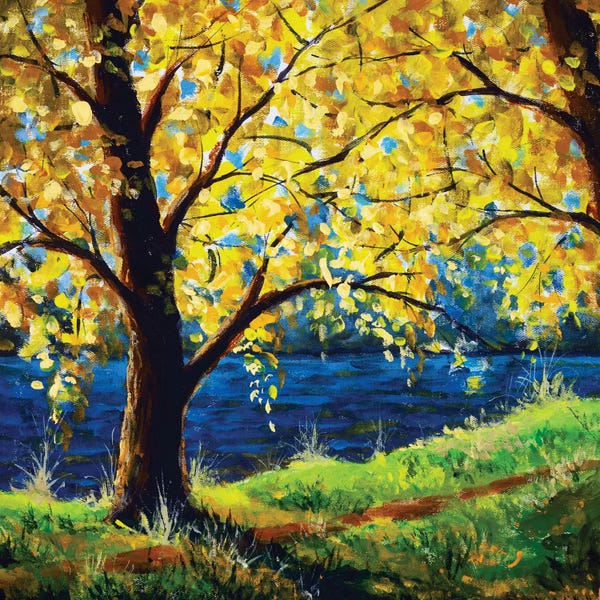 Tree By The River