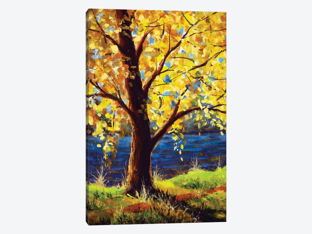 Sun Rays Through Branches Of Trees by Valery Rybakow 1-piece Canvas Art