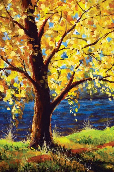 Valery Rybakow: Sun Rays Through Branches Of Trees by Valery Rybakow