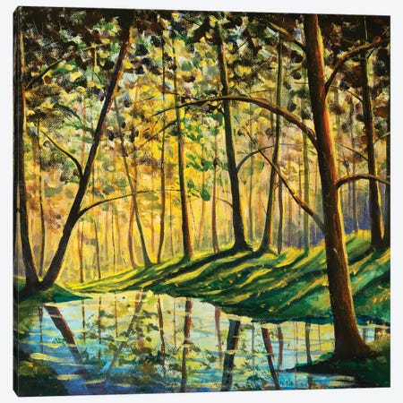 Large Forest Trees Are Reflected In Water Canvas Print #VRY661} by Valery Rybakow Canvas Art