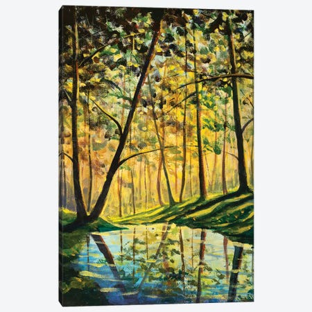 River In Sunny Forest Landscape Canvas Print #VRY662} by Valery Rybakow Canvas Art