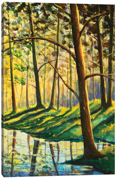 Warm Spring Forest Summer Landscape Canvas Art Print - Valery Rybakow