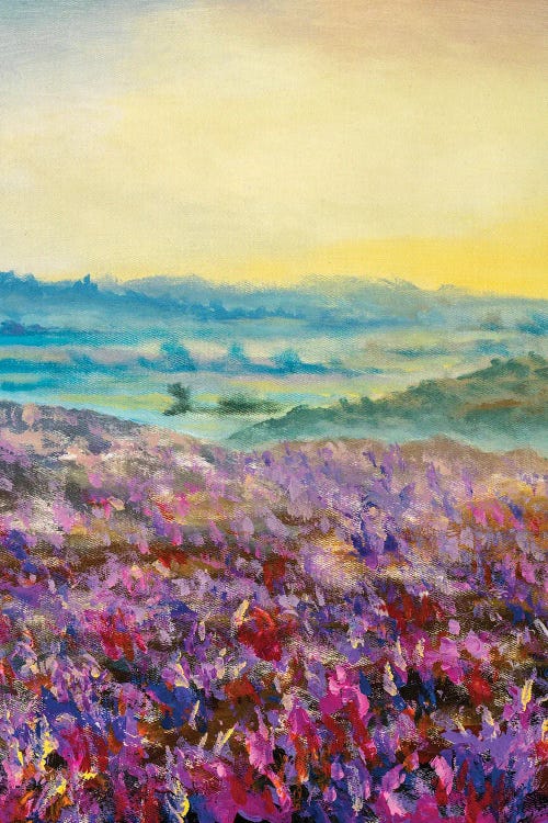 Purple Field Of Flowers In Foggy Mountains At Dawn