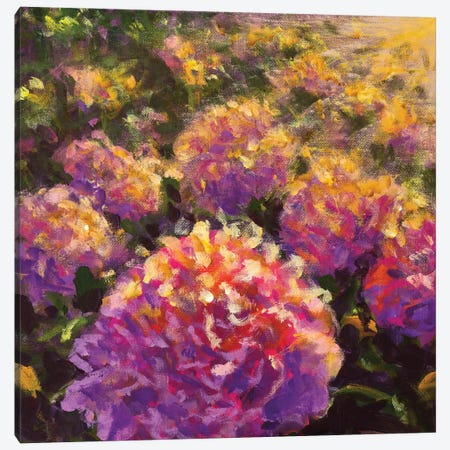 Big Purple Pink Flower Peony Rose Canvas Print #VRY667} by Valery Rybakow Canvas Art Print