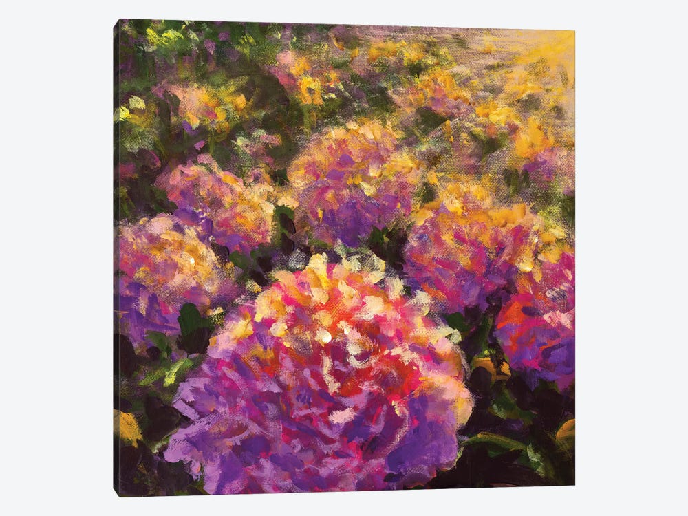 Big Purple Pink Flower Peony Rose by Valery Rybakow 1-piece Canvas Print
