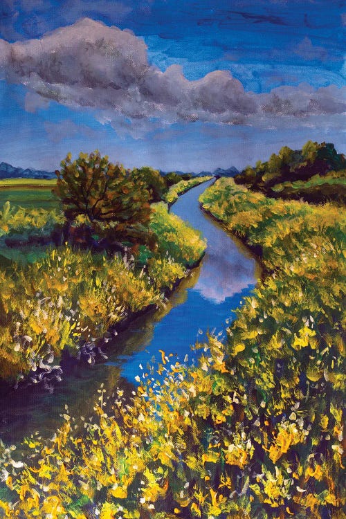 Field Of Yellow Wildflowers Blue Sky Beautiful River