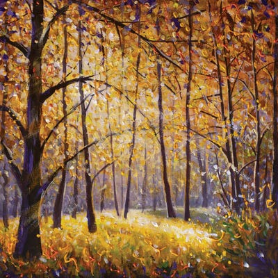 Sunny Autumn Day In A Yellow Forest by Valery Rybakow canvas print