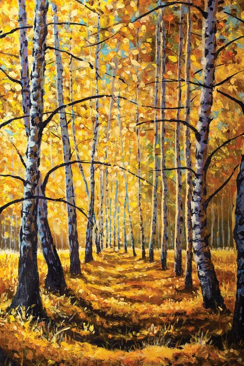 Sunny Autumn Forest