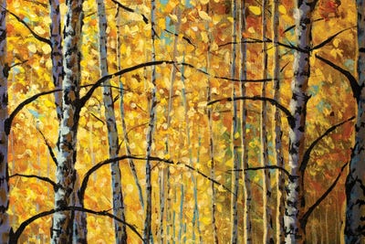 Birch Trees, Branches, Autumn Foliage by Valery Rybakow canvas print