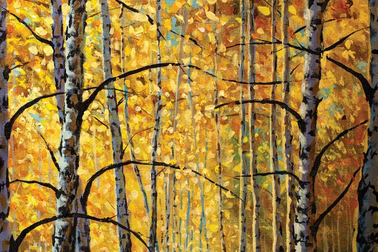 Birch Trees, Branches, Autumn Foliage