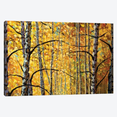 Birch Trees, Branches, Autumn Foliage Canvas Print #VRY693} by Valery Rybakow Canvas Art Print
