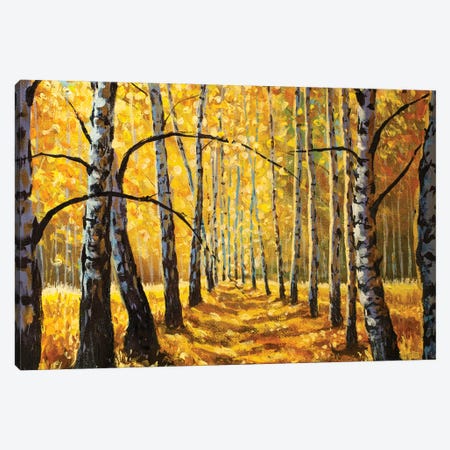 Autumn Birch Trees In Forest Park Alley Canvas Print #VRY694} by Valery Rybakow Canvas Artwork
