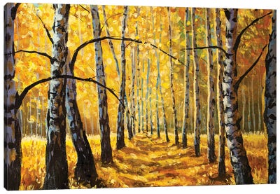 Autumn Birch Trees In Forest Park Alley Canvas Art Print - Valery Rybakow
