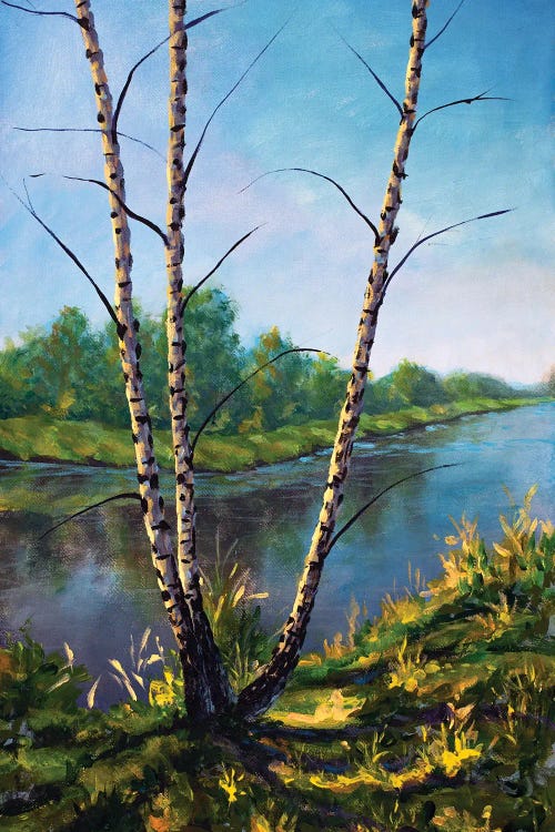 Autumn Birch Trees On The Sunny River Bank