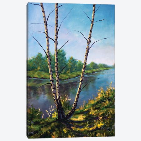 Autumn Birch Trees On The Sunny River Bank Canvas Print #VRY696} by Valery Rybakow Canvas Artwork