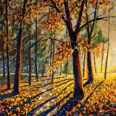 Trees With Bright Colorful Leaves Deep In The Autumn Forest by Valery Rybakow canvas print
