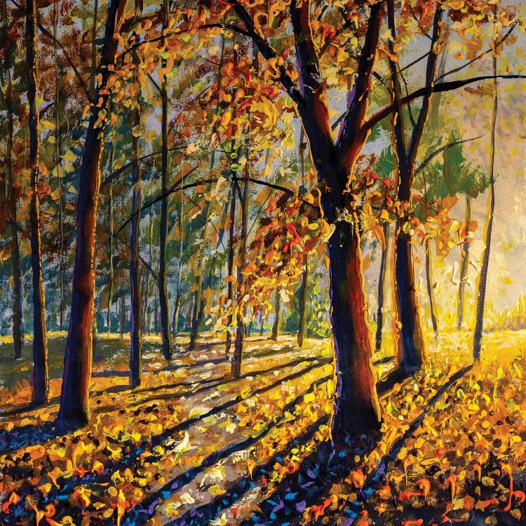 Trees With Bright Colorful Leaves Deep In The Autumn Forest