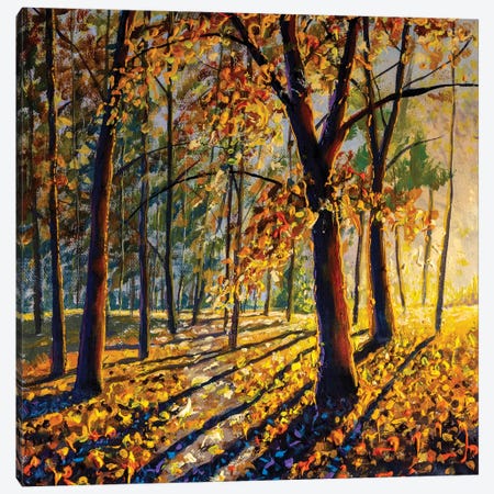 Trees With Bright Colorful Leaves Deep In The Autumn Forest Canvas Print #VRY697} by Valery Rybakow Canvas Artwork