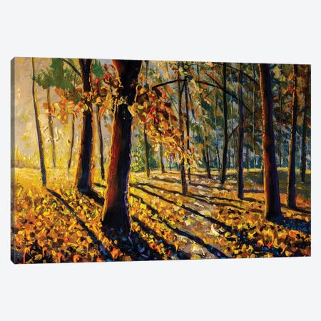 Colorful Autumn Forest Canvas Print #VRY698} by Valery Rybakow Canvas Art Print