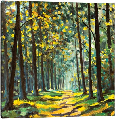 Gorgeous Forest In Autumn Canvas Art Print - Large Floral & Botanical Art