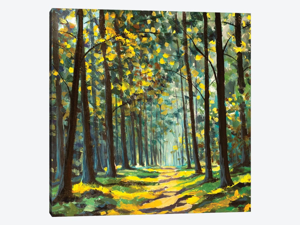 Gorgeous Forest In Autumn by Valery Rybakow 1-piece Canvas Art