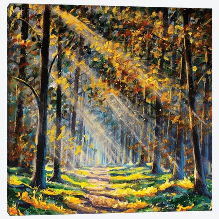 Landscape Sun In Sunny Forest With Road And Trees Canvas Print #VRY704} by Valery Rybakow Canvas Wall Art