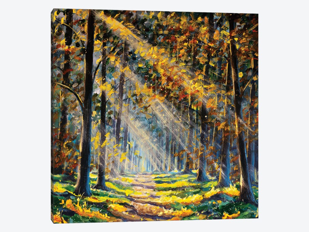 Landscape Sun In Sunny Forest With Road And Trees by Valery Rybakow 1-piece Art Print