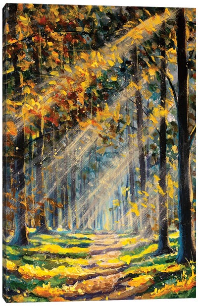 Landscape Sun In Sunny Forest With Road And Tree Canvas Art Print - Valery Rybakow