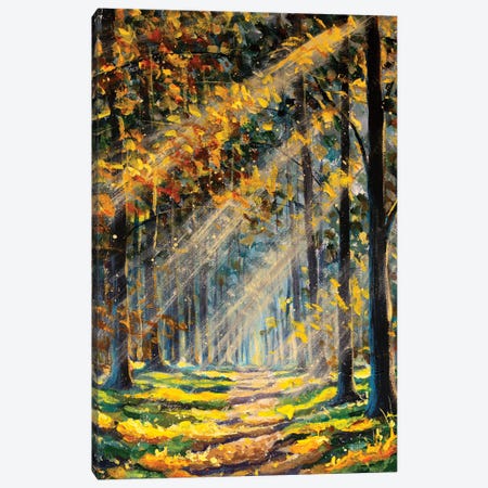Landscape Sun In Sunny Forest With Road And Tree Canvas Print #VRY705} by Valery Rybakow Canvas Art