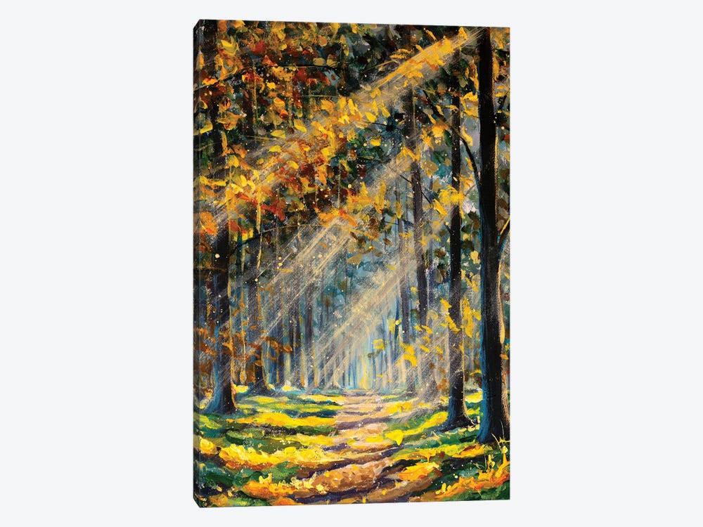 Landscape Sun In Sunny Forest With Road And Tree by Valery Rybakow 1-piece Canvas Wall Art