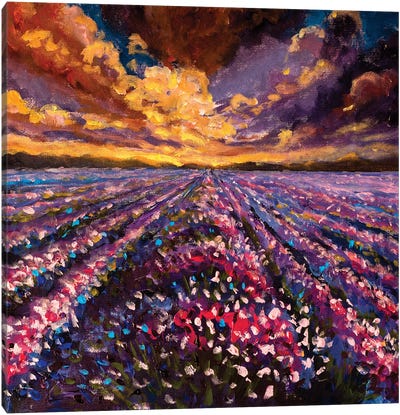 Impressionism Lavender Field At Sunset Sunrise Canvas Art Print - Lavender Art