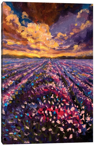 Impressionism Lavender Field At Sunset Sunrise Canvas Art Print - Lavender Art