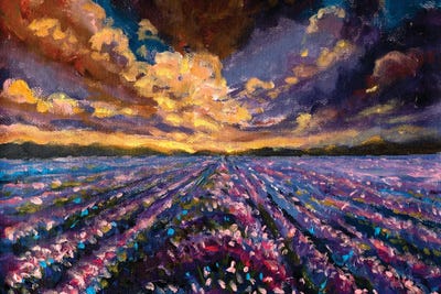 Lavender Field At Sunset Sunrise by Valery Rybakow framed canvas print
