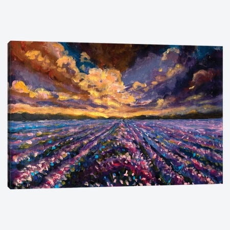 Lavender Field At Sunset Sunrise Canvas Print #VRY709} by Valery Rybakow Art Print