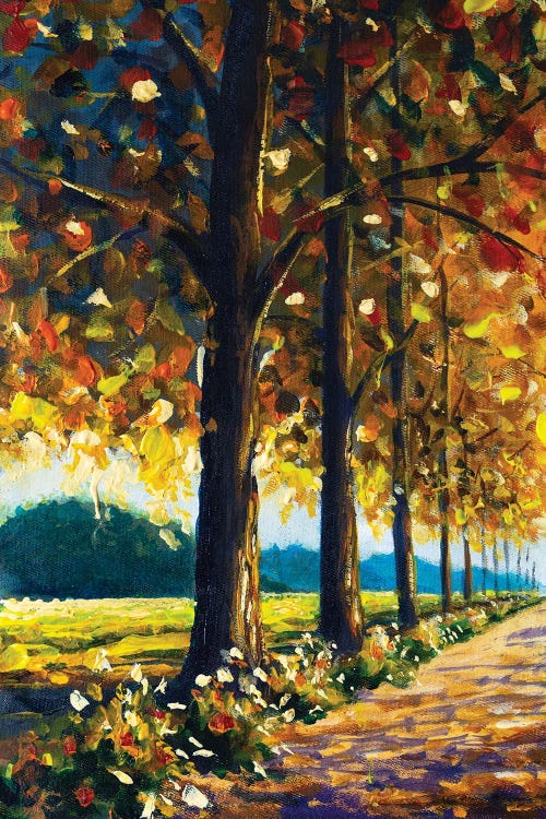 Warm Autumn Trees In Sunny Day