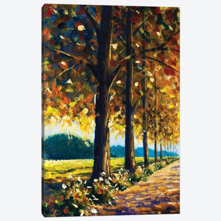 Warm Autumn Trees In Sunny Day Canvas Print #VRY713} by Valery Rybakow Canvas Art