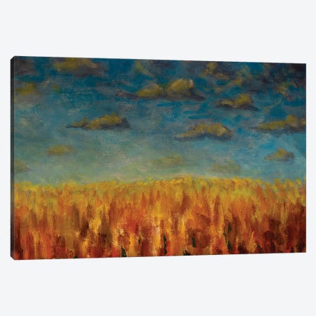 Warm Sky With Clouds Over Orange Field Forest Canvas Print #VRY727} by Valery Rybakow Canvas Artwork