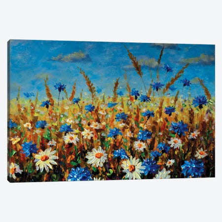 Beautiful Blooming Field Art Canvas Print #VRY733} by Valery Rybakow Canvas Art